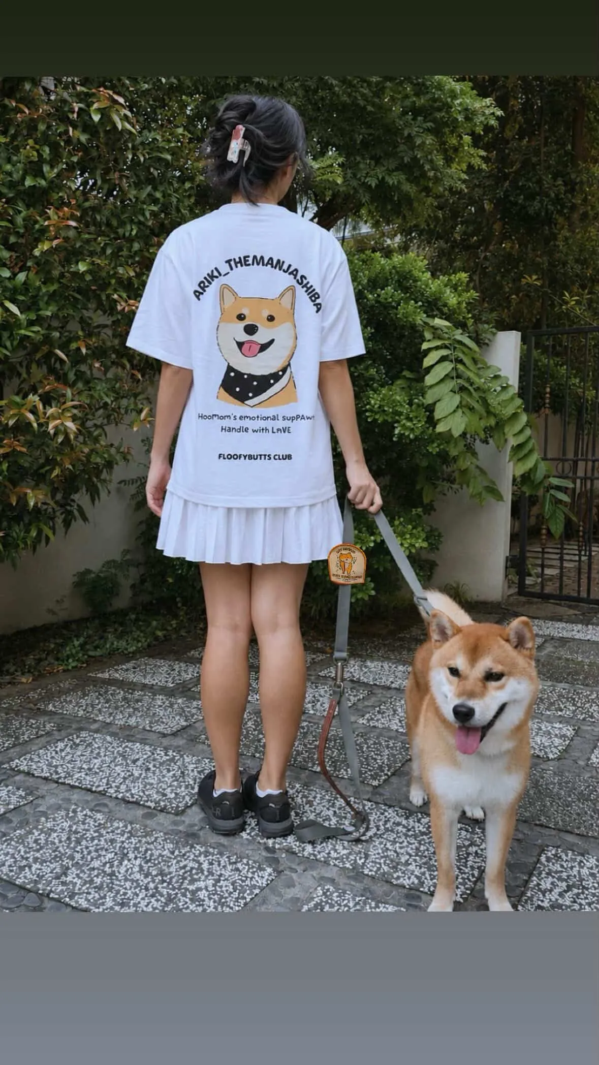 Ariki the Manja Shiba Inu Dog
