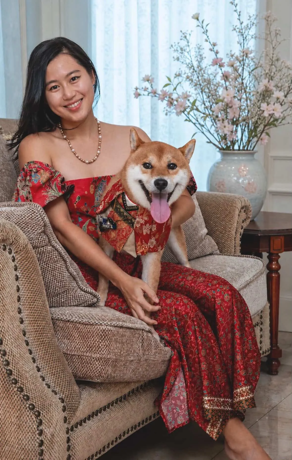 Ariki the Manja Shiba Inu Dog