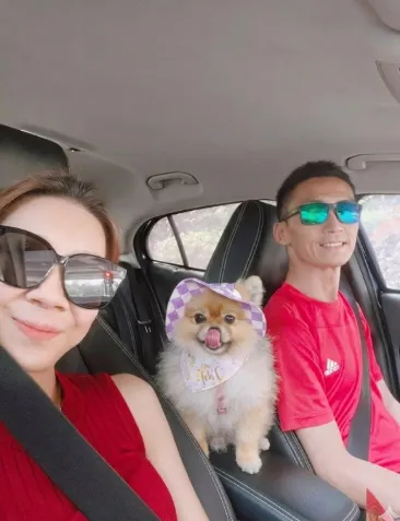 Teh C Pomeranian Dog